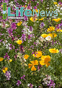 Life News Cover 2016 200px